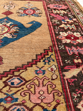 Late 19th century Bidjar Rug. Cute size 118 x 123 cm. Please send me direct mail.

emreaydin10@icloud.com

Instagram - @emreaydinrug               
