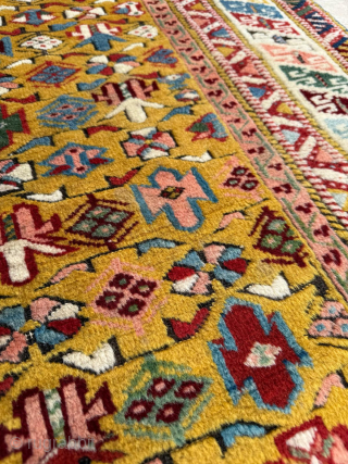 Middle of the 19th Century Kuba Shirvan Rug. İn good condition. Has a rare yellow background. Please send me direct mail. 
emreaydin10@icloud.com
0090 + 544 374 10 98      