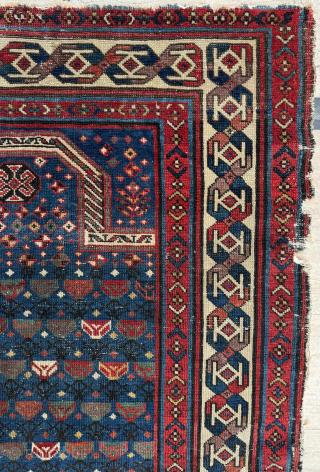 Prayer Shirvan Rug Circa 1870s. Size 90 x 140 cm. Please send me direct mail.

emreaydin10@icloud.com

Instagram - @emreaydinrug                