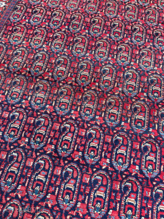 Late 19th century Persian Senneh rug. Size 115 x 140 cm. Please send me direct mail.
emreaydin10@icloud.com
Instagram - @emreaydinrug