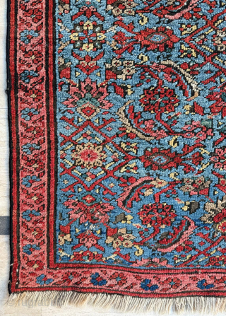 Bakshaish Rug, Circa 1870, size 110z205 cm. Please send me directly mail.
emreaydin10@icloud.com
0090 + 544 374 10 98                