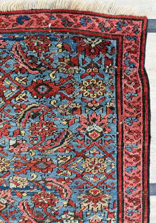 Bakshaish Rug, Circa 1870, size 110z205 cm. Please send me directly mail.
emreaydin10@icloud.com
0090 + 544 374 10 98                