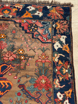 Late of the 19th century Bahtiari Rug. in good condition. Please send me direct mail.

emreaydin10@icloud.com
                  