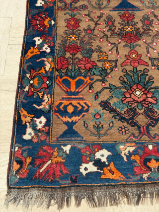 Late of the 19th century Bahtiari Rug. in good condition. Please send me direct mail.

emreaydin10@icloud.com
                  