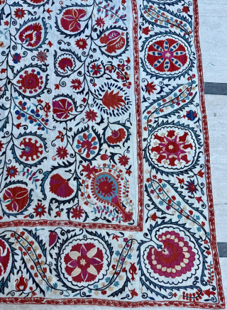 Circa 1840, Suzani, size 144 x 242 cm. Please send me direct mail.

emreaydin10@icloud.com

Instagram - @emreaydinrug                  