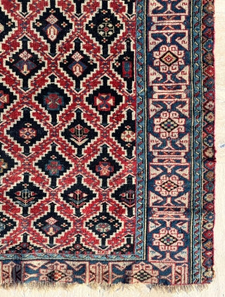 Kuba Shirvan Circa 1850 size 105x125 cm                          