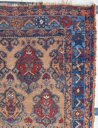 Late of the 19th Persian Afshar Rug. Size 100 x 140 cm.

Please send me direct mail.

emreaydin10@icloud.com

Instagram - @emreaydinrug               