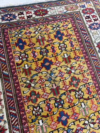 Mid 19th century Kuba Shirvan rug. Size 106 x 163 cm. Please send me direct mail.

emreaydin10@icloud.com

Instagram - @emreaydinrug
               