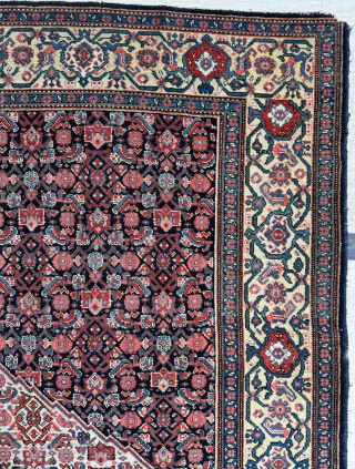 Late of the 19th century Persian Senneh Rug
Size 140 x 200 cm
Please send me direct mail.

emreaydin10@icloud.com

Instagram - @emreaydinrug               