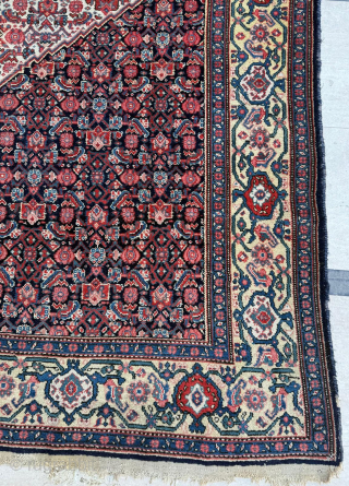 Late of the 19th century Persian Senneh Rug
Size 140 x 200 cm
Please send me direct mail.

emreaydin10@icloud.com

Instagram - @emreaydinrug               