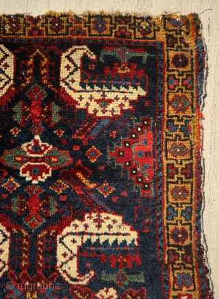 Khamse Bagface Circa 1870
Size 54 x 54 cm.
Please send me direct mail.

emreaydin10@icloud.com

Instagram - @emreaydinrug 
                  