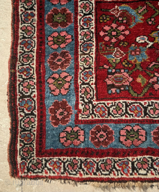 Persian Bagface Circa 1870

Size 52 x 56 cm.

Please send me direct mail.

emreaydin10@icloud.com

Instagram - @emreaydinrug                   