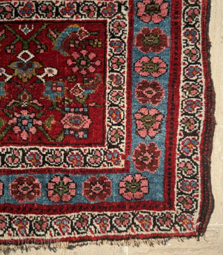 Persian Bagface Circa 1870

Size 52 x 56 cm.

Please send me direct mail.

emreaydin10@icloud.com

Instagram - @emreaydinrug                   