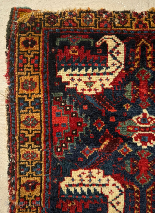 Khamse Bagface Circa 1870
Size 54 x 54 cm.
Please send me direct mail.

emreaydin10@icloud.com

Instagram - @emreaydinrug 
                  