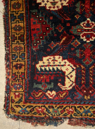 Khamse Bagface Circa 1870
Size 54 x 54 cm.
Please send me direct mail.

emreaydin10@icloud.com

Instagram - @emreaydinrug 
                  