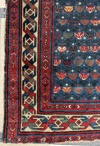 Prayer Shirvan Rug
Circa 1870s 
Size 90 x 140 cm 
Please send me direct mail.

emreaydin10@icloud.com

Instagram - @emreaydinrug                 