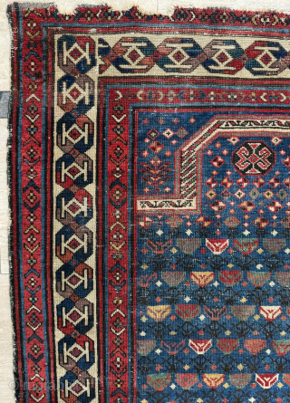 Prayer Shirvan Rug
Circa 1870s 
Size 90 x 140 cm 
Please send me direct mail.

emreaydin10@icloud.com

Instagram - @emreaydinrug                 