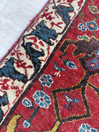 Wagireh Bidjar Circa 1870
Size 140 x 230 cm 

Please send me direct mail.

emreaydin10@icloud.com

Instagram - @emreaydinrug                  