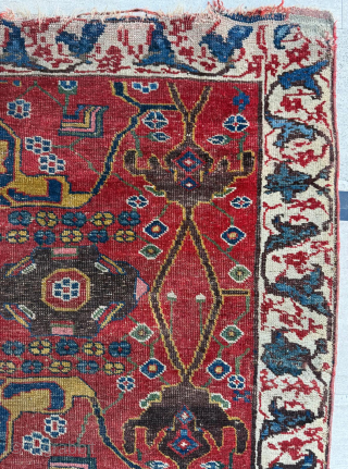 Wagireh Bidjar Circa 1870
Size 140 x 230 cm 

Please send me direct mail.

emreaydin10@icloud.com

Instagram - @emreaydinrug                  