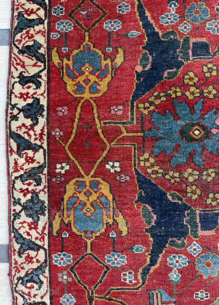 Wagireh Bidjar Circa 1870
Size 140 x 230 cm 

Please send me direct mail.

emreaydin10@icloud.com

Instagram - @emreaydinrug                  