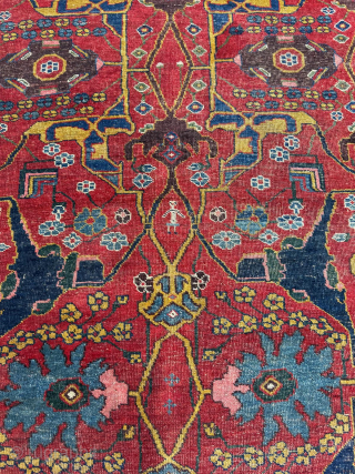 Wagireh Bidjar Circa 1870
Size 140 x 230 cm 

Please send me direct mail.

emreaydin10@icloud.com

Instagram - @emreaydinrug                  