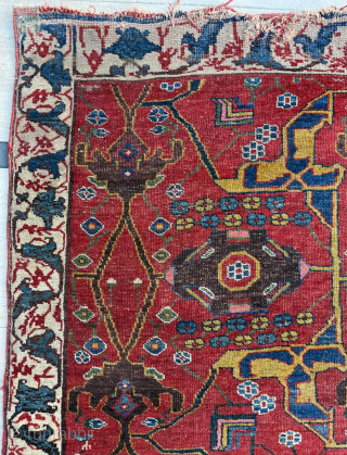 Wagireh Bidjar Circa 1870
Size 140 x 230 cm 

Please send me direct mail.

emreaydin10@icloud.com

Instagram - @emreaydinrug                  