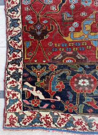 Wagireh Bidjar Circa 1870
Size 140 x 230 cm 

Please send me direct mail.

emreaydin10@icloud.com

Instagram - @emreaydinrug                  