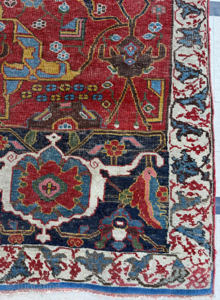 Wagireh Bidjar Circa 1870
Size 140 x 230 cm 

Please send me direct mail.

emreaydin10@icloud.com

Instagram - @emreaydinrug                  