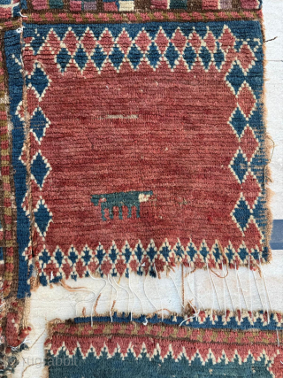 18th Century Bordjalou Design , Anatolian Fragment 
Size 130 x 205 cm
Please send me direct mail.

emreaydin10@icloud.com

Instagram - @emreaydinrug               