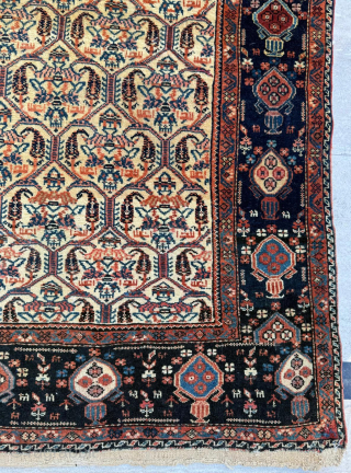 Late of the 19th century Melayer rug. Size 120 x 170 cm. Please send me direct mail.

emreaydin10@icloud.com

Instagram - @emreaydinrug              
