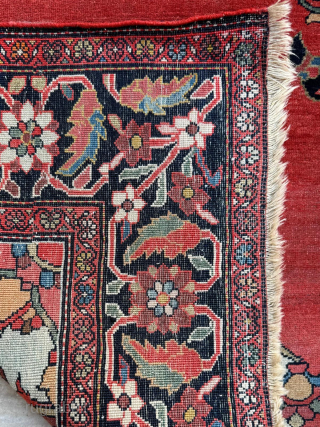 Late of the 19th century Persian Fereghan Rug. Size 130 x 195 cm. 
Please send me direct mail.

emreaydin10@icloud.com

Instagram - @emreaydinrug             