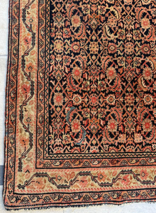 Late 19th century Persian Fereghan Rug. Thin quality. Size 114 x 197 cm. Please send me direct mail.

emreaydin10@icloud.com

Instagram - @emreaydinrug             
