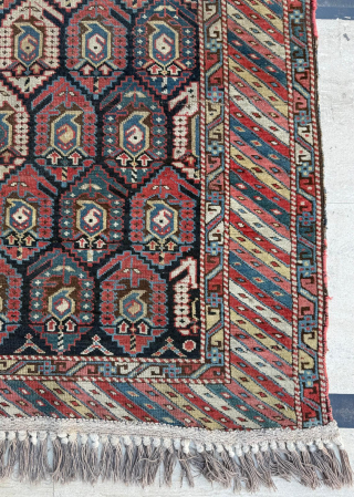 Late of the 19th century Shirvan rug. Size 115 x 140 cm. 
Please send me direct mail.

emreaydin10@icloud.com

Instagram - @emreaydinrug              