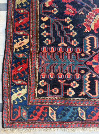 Hamadan Rug Circa 1900. Size 122 x 220 cm.

Please send me direct mail.

emreaydin10@icloud.com

Instagram - @emreaydinrug                  