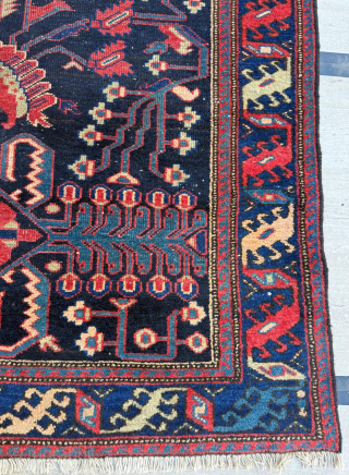 Hamadan Rug Circa 1900. Size 122 x 220 cm.

Please send me direct mail.

emreaydin10@icloud.com

Instagram - @emreaydinrug                  