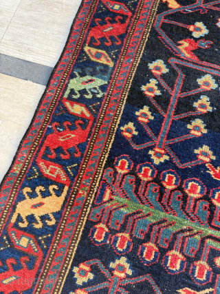 Hamadan Rug Circa 1900. Size 122 x 220 cm.

Please send me direct mail.

emreaydin10@icloud.com

Instagram - @emreaydinrug                  
