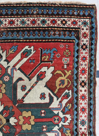 Adler Kazak Rug. Circa 1870, Size 132 x 250 cm. Please send me direct mail.

emreaydin10@icloud.com

Instagram - @emreaydinrug                