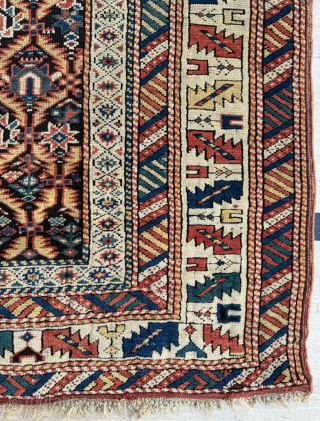 Late 19th century Kuba Shirvan Rug. Size 114 x 135 cm. Please send me direct mail.

emreaydin10@icloud.com

Instagram - @emreaydinrug               