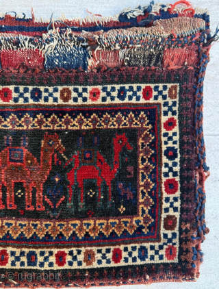 Circa 1860 Afshar Bagface. Size 30 x 34 cm. Please send me direct mail.

emreaydin10@icloud.com

Instagram - @emreaydinrug                 