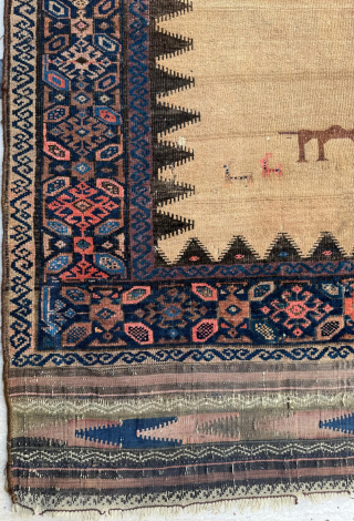 Mid 19th century Baluch Rug
Dimensions: 80 x 135 cm

Please send me direct mail.

emreaydin10@icloud.com

Instagram - @emreaydinrug                  