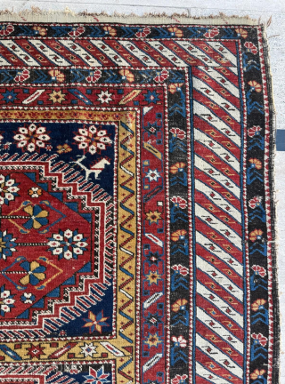 Mid 19th Century Shirvan Rug, size 117 x 172 cm. Please send me direct mail.

emreaydin10@icloud.com

Instagram - @emreaydinrug                