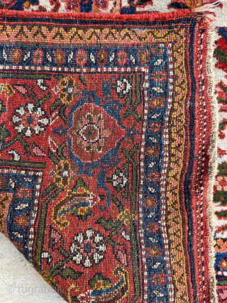 Late 19th century Bidjar Rug. Has a great white background. Size 135 x 195 cm. Please send me direct mail.
emreaydin10@icloud.com
Instagram - @emreaydinrug