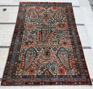 Late 19th century Baktiari Rug. Size 148 x 206 cm. Please send me direct mail.
emreaydin10@icloud.com
Instagram - @emreaydinrug