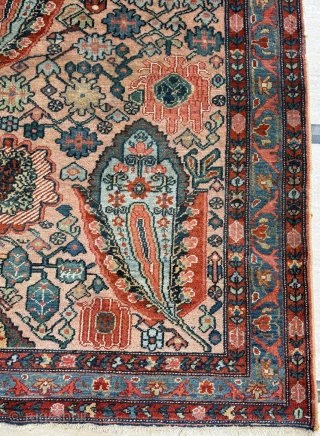 Late 19th century Baktiari Rug. Size 148 x 206 cm. Please send me direct mail.
emreaydin10@icloud.com
Instagram - @emreaydinrug