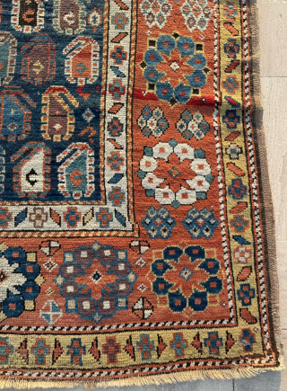 Circa 1870 Gendje Rug. Size 130 x 190 cm. Please send me direct mail.
emreaydin10@icloud.com
Instagram - @emreaydinrug