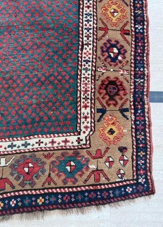 Circa 1860 - 1870 Caucasian Rug. Size 117 x 212 cm. Please send me direct mail.

emreaydin10@icloud.com

Instagram - @emreaydinrug               