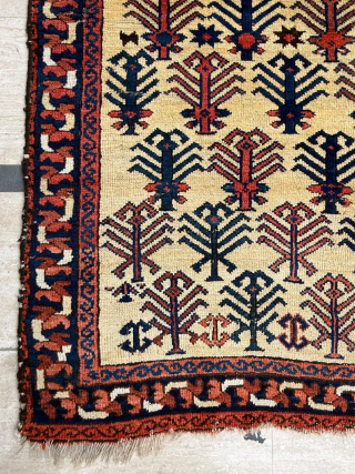 Circa 1860 East Persian Afshar Rug. Unusual design. Size 138 x 179 cm. Please send me direct mail.

emreaydin10@icloud.com

Instagram - @emreaydinrug             