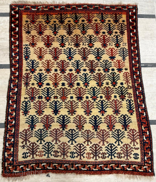 Circa 1860 East Persian Afshar Rug. Unusual design. Size 138 x 179 cm. Please send me direct mail.

emreaydin10@icloud.com

Instagram - @emreaydinrug             