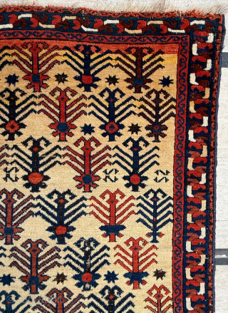 Circa 1860 East Persian Afshar Rug. Unusual design. Size 138 x 179 cm. Please send me direct mail.

emreaydin10@icloud.com

Instagram - @emreaydinrug             