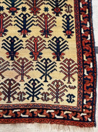 Circa 1860 East Persian Afshar Rug. Unusual design. Size 138 x 179 cm. Please send me direct mail.

emreaydin10@icloud.com

Instagram - @emreaydinrug             